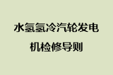 水氢氢冷汽轮发电机检修导则