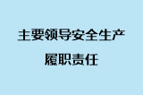 主要领导安全生产履职责任