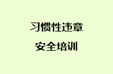 习惯性违章安全培训